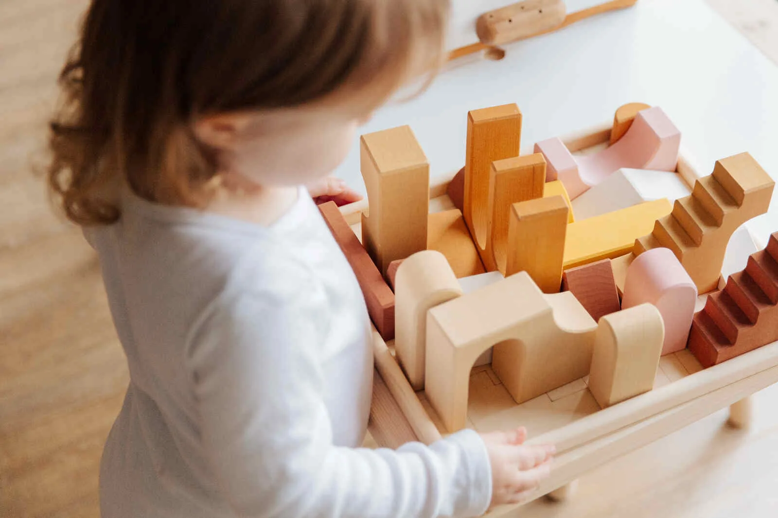 Sensory Integration